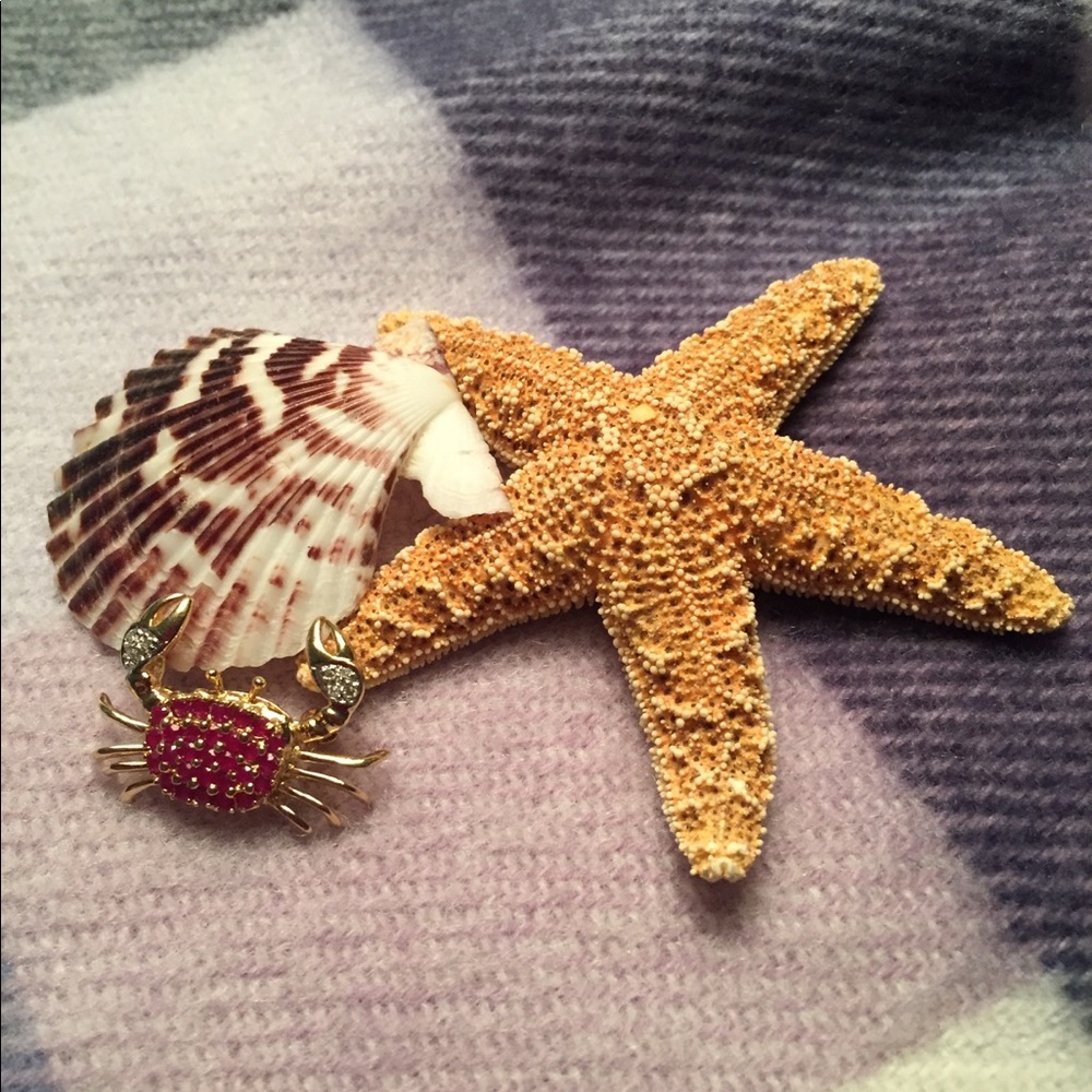 Ruby/Diamond Crab Pendant & Brooch Pin 1…